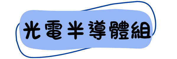光電半導體組